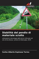 Carlos Alberto Espinoza Torres - Stabilità del pendio di materiale sciolto