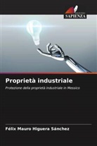 Félix Mauro Higuera Sánchez - Proprietà industriale