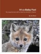Joe Shaw - It's a Baby Fox!