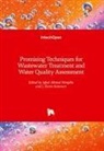 Iqbal Ahmed, J. Kevin Summers - Promising Techniques for Wastewater Treatment and Water Quality Assessment