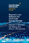 Amy C. Marschilok, Lei Wang, Lei (Brookhaven National Laboratory Wang, Wang Lei, Garrett P. Wheeler, Garrett P. (Brookhaven National Laborator Wheeler... - Beyond Li-Ion Batteries for Grid-Scale Energy Storage