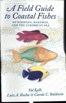 Carole C Baldwin, Carole C. Baldwin, Valerie A Kells, Valerie A. Kells, Valerie A. Rocha Kells, Luiz A Rocha... - Field Guide to Coastal Fishes of Bermuda, Bahamas, and the Caribbean - Se