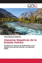 Carlos Alberto Alva Huapaya, Treyssi Stephany Mantilla Jara - Impactos Negativos de la Erosión Hídrica