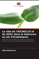 Olga Babourina - Le rôle de l'AtCNGC10 et du SOS1 dans la tolérance au sel d'Arabidopsis