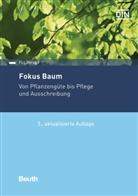 DIN e.V., DIN e V, FLL - Fokus Baum