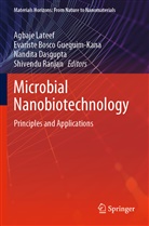 Evariste Bosco Gueguim-Kana, Nandita Dasgupta, Nandi Dasgupta et al, Evariste Bosco Gueguim-Kana, Agbaje Lateef, Shivendu Ranjan - Microbial Nanobiotechnology