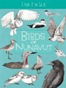 Carolyn Mallory, Merle Harley - Junior Field Guide: Birds of Nunavut