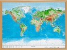 Mario Engelhardt, André Markgraf, Georelief Dresden, georelief GbR - Welt, Reliefkarte Gross 1:53.000.000 mit Naturholzrahmen