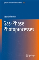 Anatoly Pravilov - Gas-Phase Photoprocesses