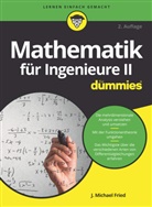 J Michael Fried, J. Michael Fried - Mathematik für Ingenieure II für Dummies