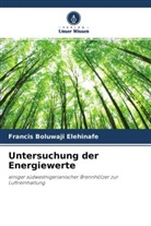 Francis Boluwaji Elehinafe - Untersuchung der Energiewerte