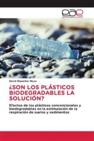 David Riquelme Moya - ¿SON LOS PLÁSTICOS BIODEGRADABLES LA SOLUCIÓN?