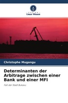 Christophe Mugangu - Determinanten der Arbitrage zwischen einer Bank und einer MFI