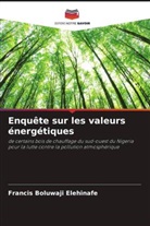 Francis Boluwaji Elehinafe - Enquête sur les valeurs énergétiques