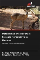 Emygdio L. de Araujo M. Filho, Rodrigo Antonio M. de Souza - Determinazione dell'età e biologia riproduttiva in Mazama