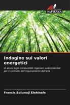 Francis Boluwaji Elehinafe - Indagine sui valori energetici