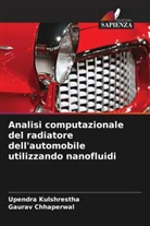 Gaurav Chhaperwal, Upendra Kulshrestha - Analisi computazionale del radiatore dell'automobile utilizzando nanofluidi