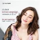 Johann Sebastian Bach - Ich bin vergnügt...-Kantaten BWV 51,82 & 84 (Hörbuch)