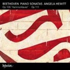 Ludwig Van Beethoven - Klaviersonaten Opp.106 & 111 (Audiolibro)