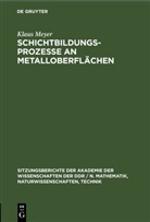 Klaus Meyer - Schichtbildungsprozesse an Metalloberflächen