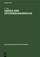 L. Pun - Abriss der Optimierungspraxis