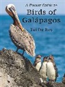 Tui de Roy, De Roy Tui - Pocket Guide to Birds of Galapagos