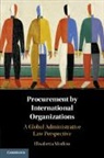 Elisabetta Morlino - Procurement By International Organizations