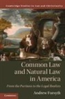 Andrew Forsyth, Andrew (Yale University Forsyth, Forsyth Andrew - Common Law and Natural Law in America