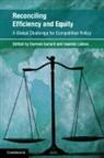 Damien Lianos Gerard, Damien Gerard, Gerard Damien, Ioannis Lianos - Reconciling Efficiency and Equity