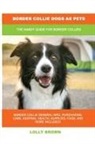 Lolly Brown - Border Collie Dogs as Pets