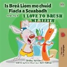 Shelley Admont, Kidkiddos Books - I Love to Brush My Teeth (Irish English Bilingual Children's Book)