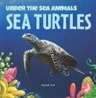 Amy Culliford - Sea Turtles