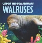 Amy Culliford - Walruses