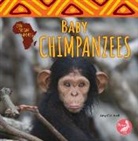 Amy Culliford - Baby Chimpanzees