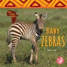 Amy Culliford - Baby Zebras