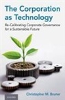 Christopher M. Bruner, Christopher M. (Stembler Family Distinguis Bruner, Christopher M. (Stembler Family Distinguished Professor in Business Law Bruner - Corporation As Technology