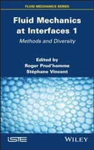 Roger Prudhomme, Stephane Vincent, Roger Prudhomme, Vincent, Stephane Vincent - Fluid Mechanics at Interfaces 1
