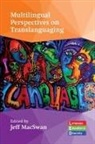Jeff Macswan, Jeff Macswan - Multilingual Perspectives on Translanguaging
