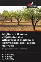 A. K. Pandey, C. S. Pandey, R. P. Singh - Migliorare il suolo colpito dal sale attraverso il modello di coltivazione degli alberi da frutta