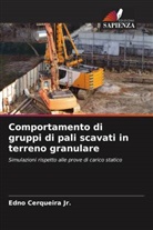 Edno Cerqueira Jr. - Comportamento di gruppi di pali scavati in terreno granulare