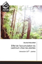 Souhail Aboulfadl - Effet de l'accumulation du cadmium chez les plantes