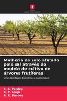 A. K. Pandey, C. S. Pandey, R. P. Singh - Melhoria do solo afetado pelo sal através do modelo de cultivo de árvores frutíferas