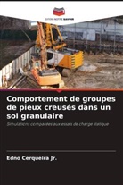 Edno Cerqueira Jr. - Comportement de groupes de pieux creusés dans un sol granulaire