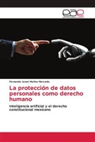 Fernando Israel Molina Mercado - La protección de datos personales como derecho humano