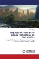 Dejene Taye - Impacts of Small-Scale Biogas Technology on Households