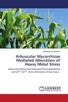 Edappayil Janeeshma - Arbuscular Mycorrhizae Mediated Alleviation of Heavy Metal Stress