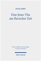 Felix John - Eine Jesus-Vita aus flavischer Zeit