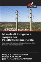 José M. M. Andriamampianina, Dolly A. S. Andriatoavina, Damien A. H. Fakra - Miscela di idrogeno e syngas per l'elettrificazione rurale