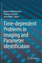 Barbara Kaltenbacher, Thomas Schuster, Anne Wald - Time-dependent Problems in Imaging and Parameter Identification