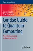 Sergei Borzunov, Sergei Kurgalin - Concise Guide to Quantum Computing
